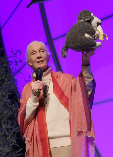 Klick für Originalgröße :00005.JPG