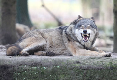 Schliessen von 025.jpg