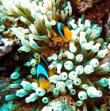 Schliessen von 035.JPG