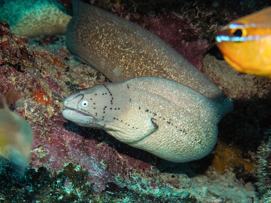 Schliessen von 038.JPG