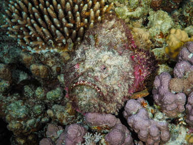 Schliessen von 061.JPG