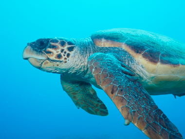 Schliessen von 064.JPG