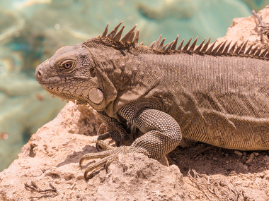 Schliessen von 066.JPG