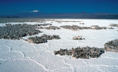 Klick für Originalgröße :003Travelgr.jpg