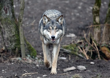 Klick f&uuml;r Originalgr&ouml;&szlig;e :023.jpg