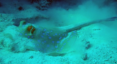 Klick f&uuml;r Originalgr&ouml;&szlig;e :028.JPG