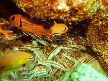 Klick für Originalgröße :039.JPG