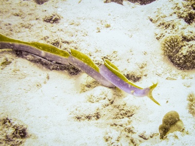 Klick für Originalgröße :041.JPG