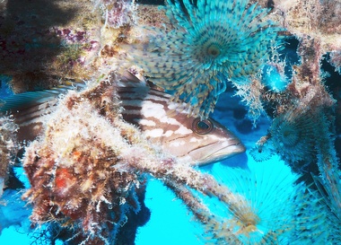 Klick für Originalgröße :063.JPG