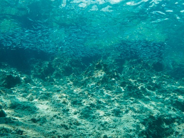 Klick für Originalgröße :065.JPG